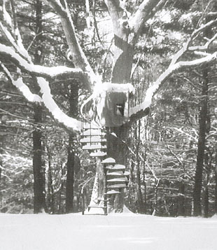 Our tree house close up - February 1966
