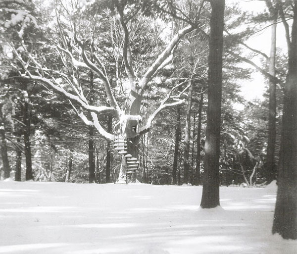 Our tree house from afar - February 1966