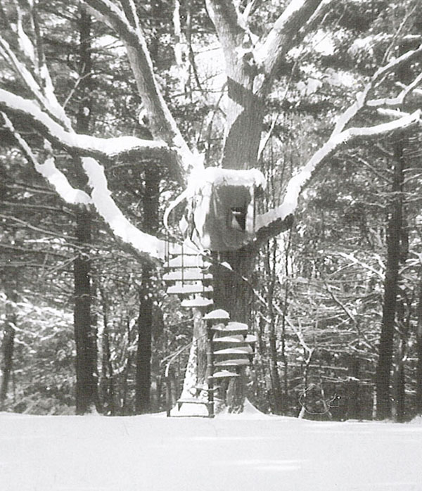 Our tree house close up - February 1966