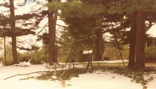 Down branches and limbs fell on our playground.